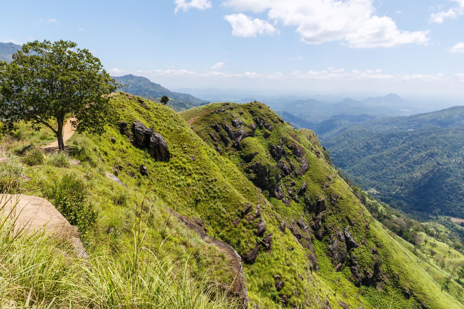 L Adams Peak 103