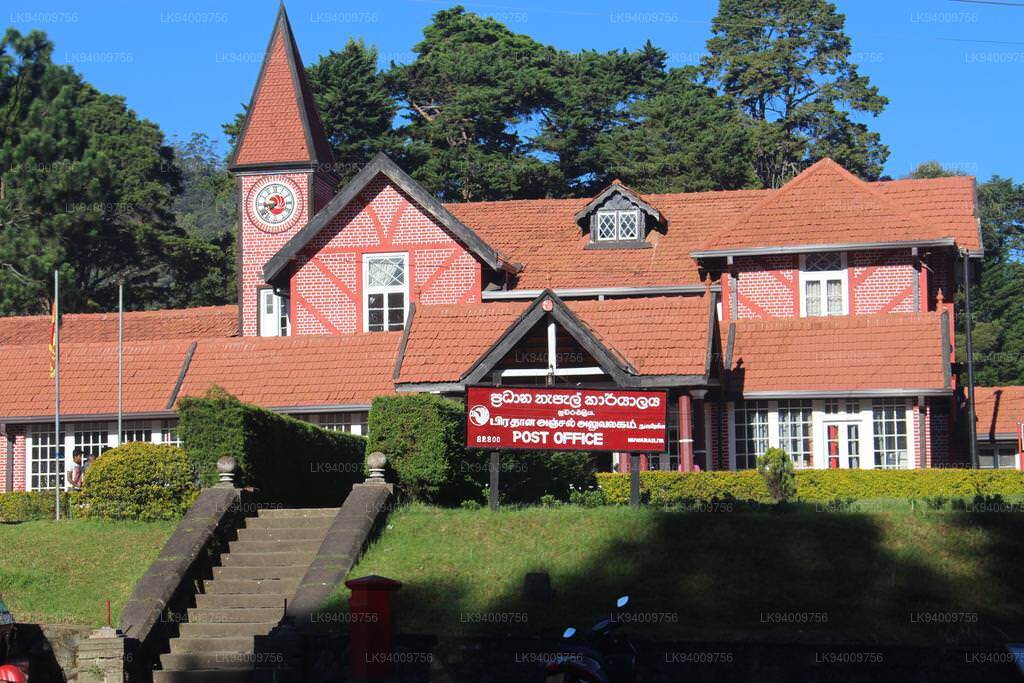 N Eliya 1
