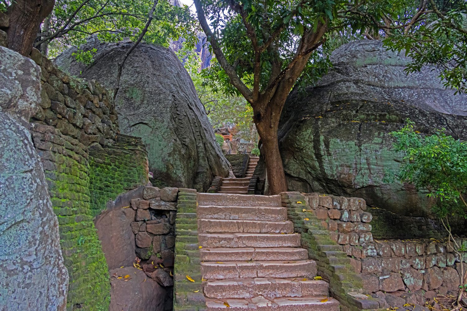 Sigiriya 101