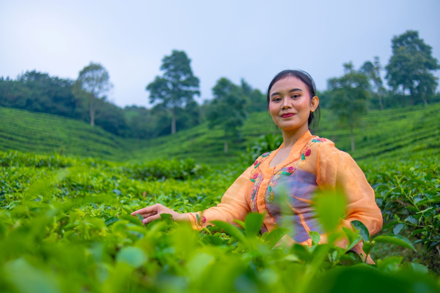 Tea Paln 107