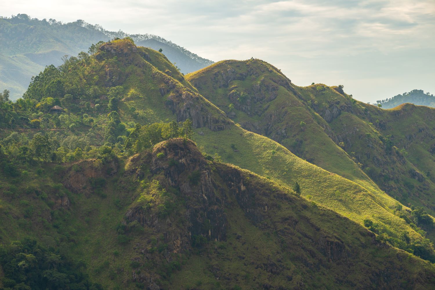 L Adams Peak 100
