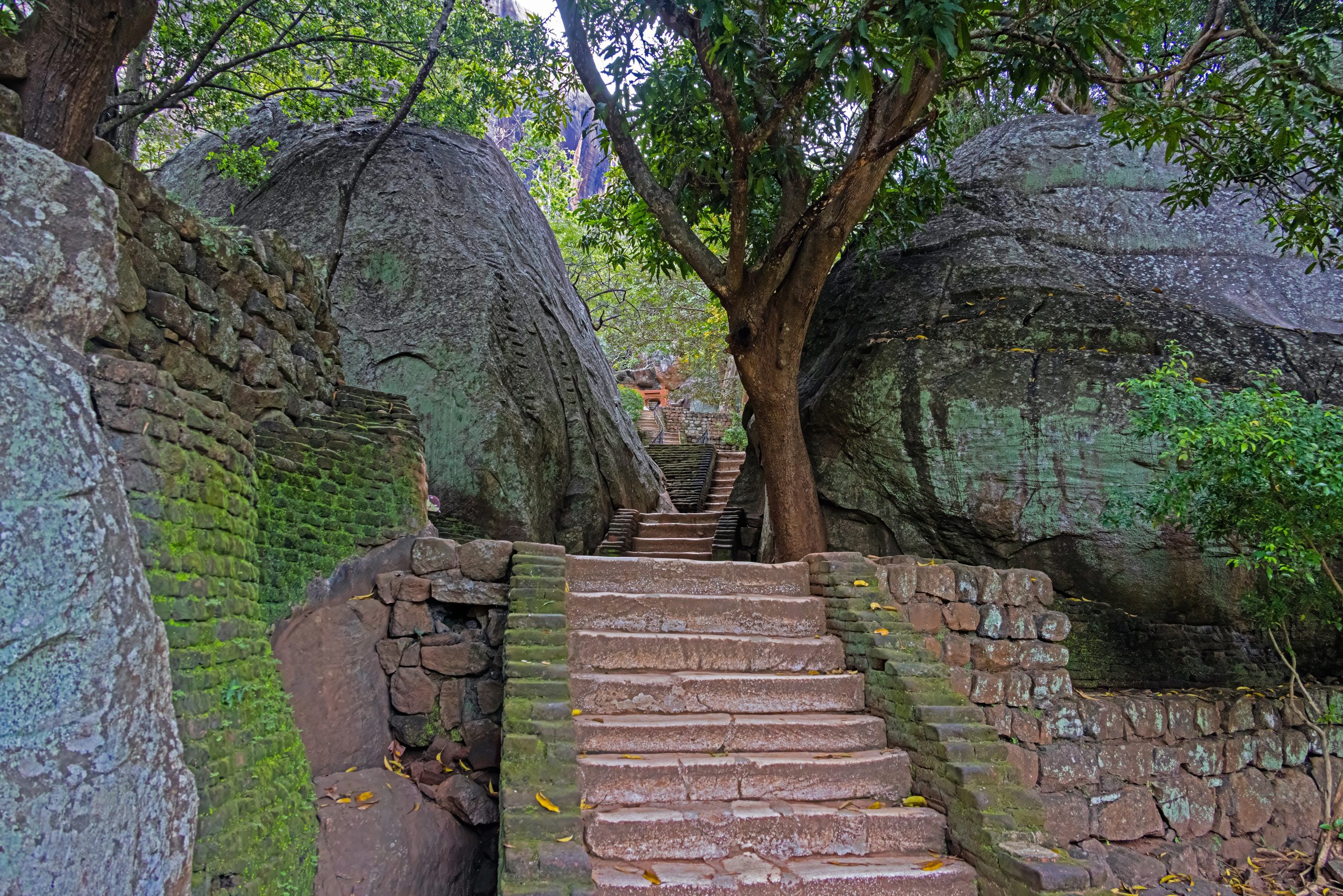 Ancient stone staircase at Sigiriya Rock surrounded by massive boulders and jungle trees during daytime