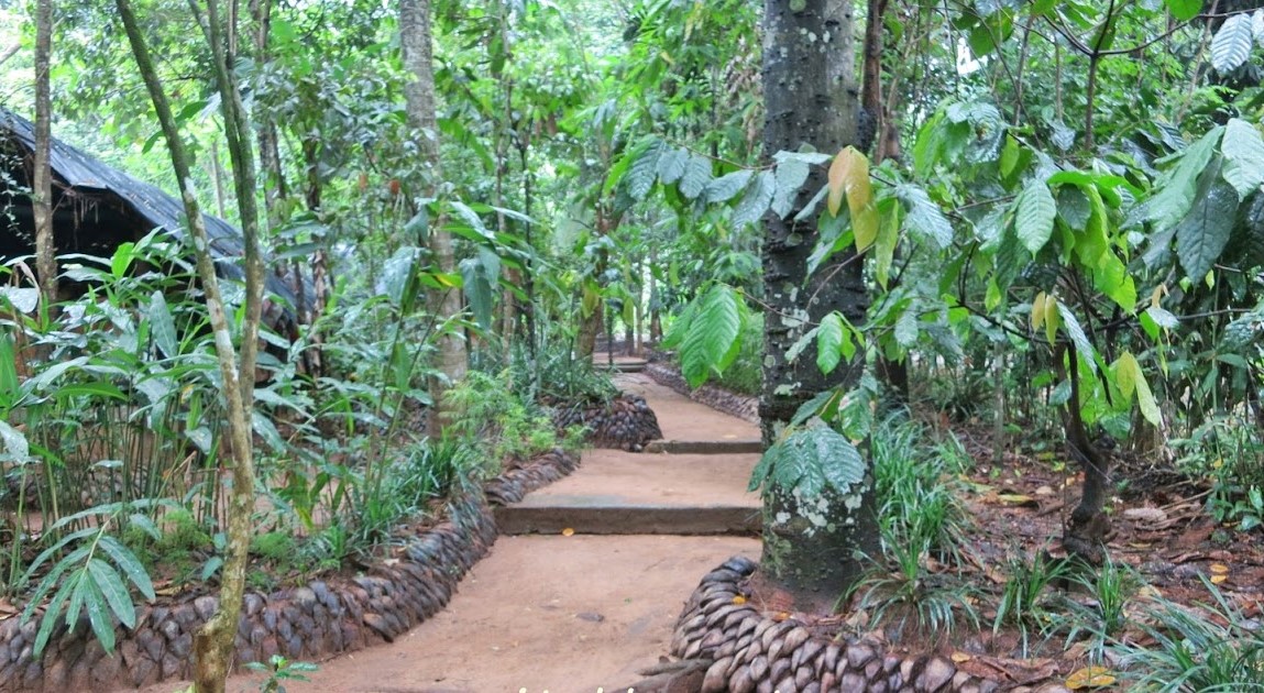 Spice Garden 1
