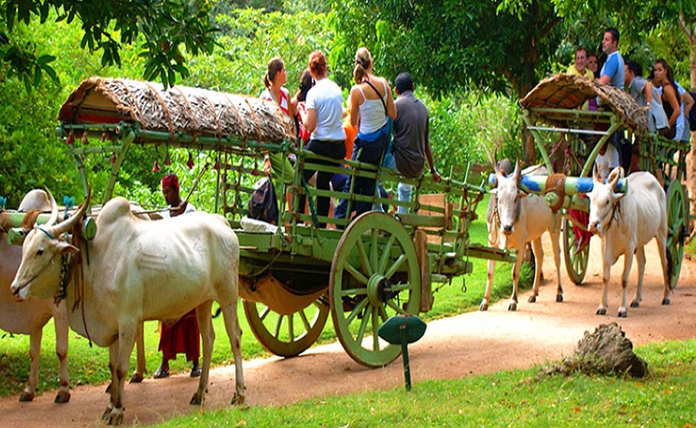 Village Tour 1