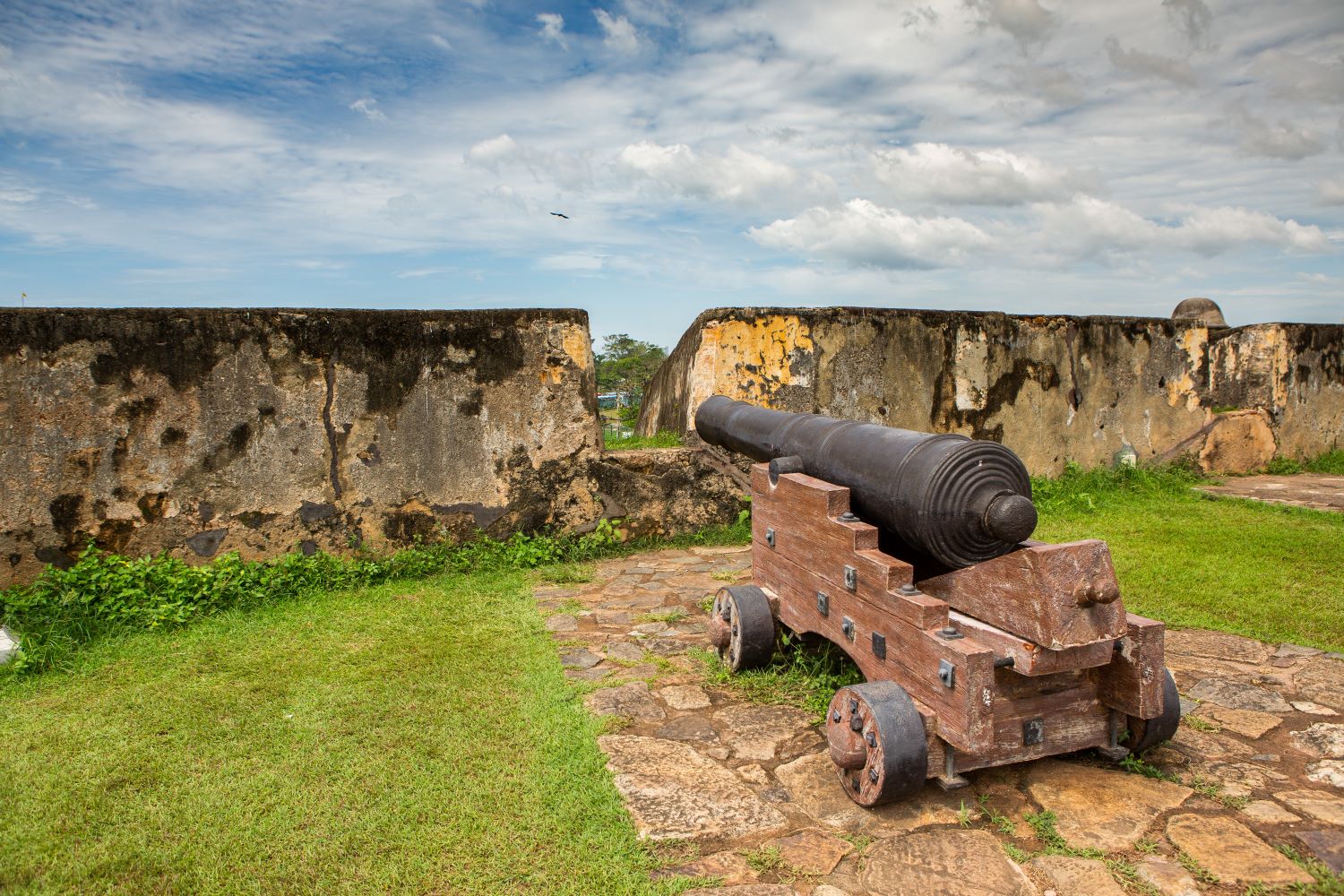 Galle 105