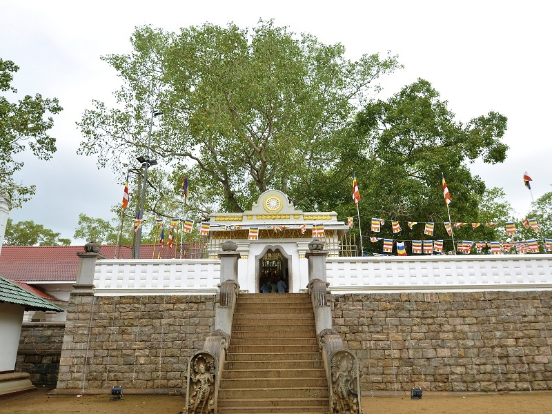 Apura 5